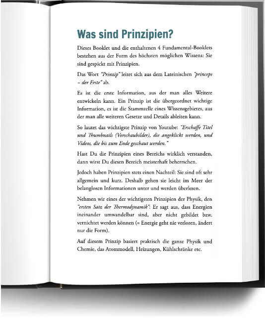 Buch Auszug: Alex Fischer - Charismatic Leadership 03