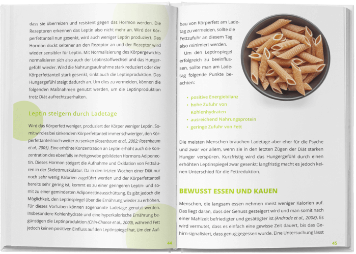 Buch Auszug: Jasper Caven Hungerstoffwechsel